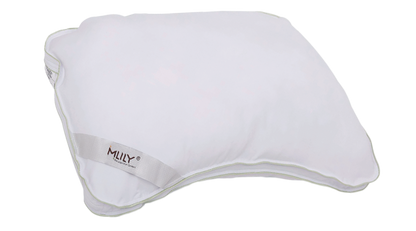 Hybrid Shoulder