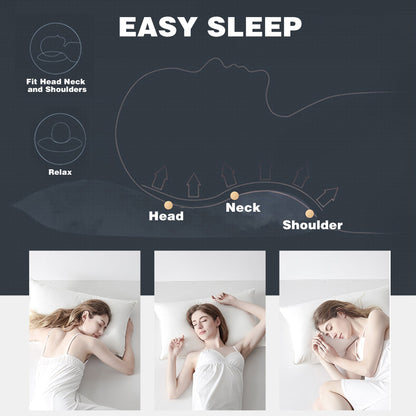 King Goose Down Feather Pillow Set