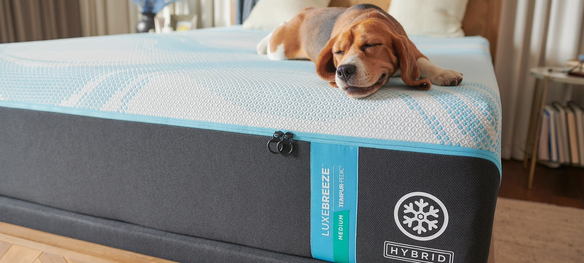 dog sleeping on luxebreeze hybrid mattress from tempurpedic