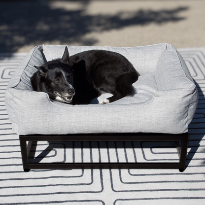 Dog lying on a gray pet bed outdoors