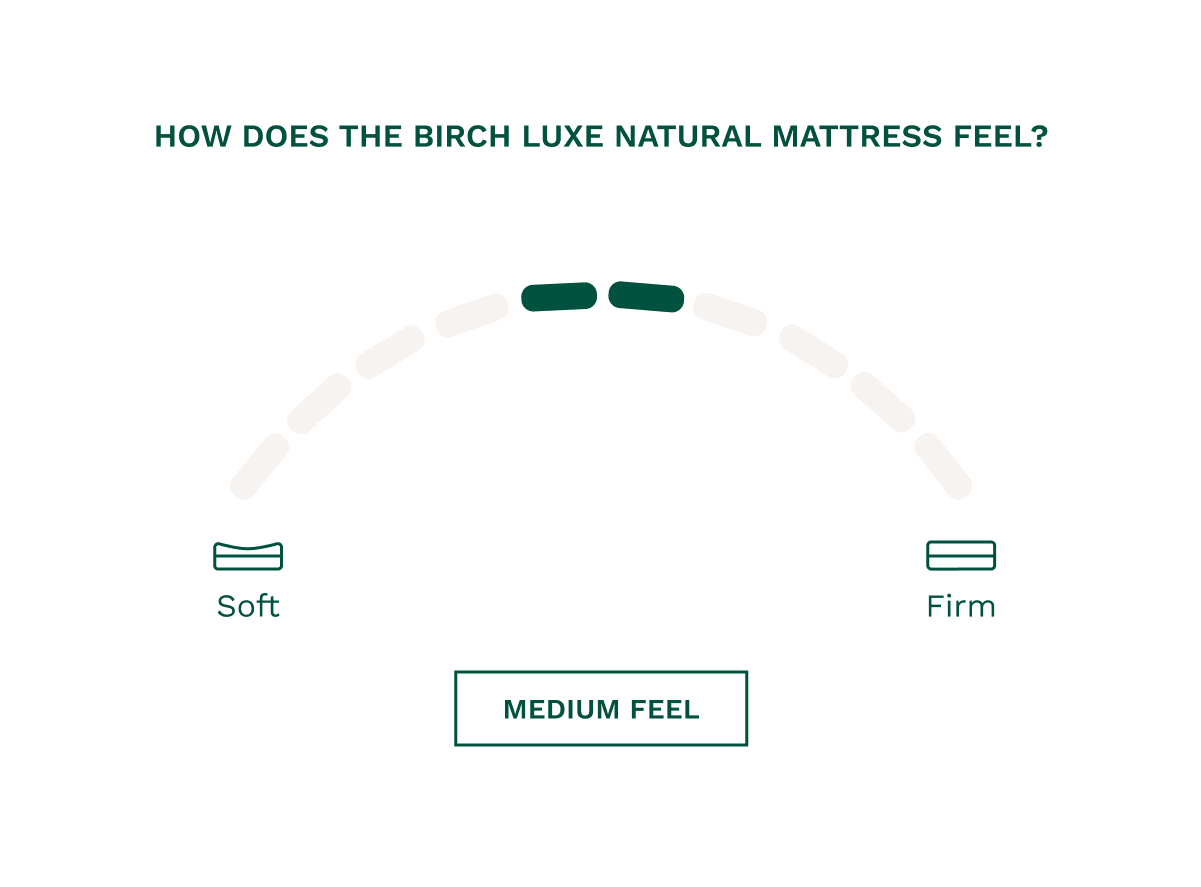 helix birch medium feel mattress on sale at Sleep City