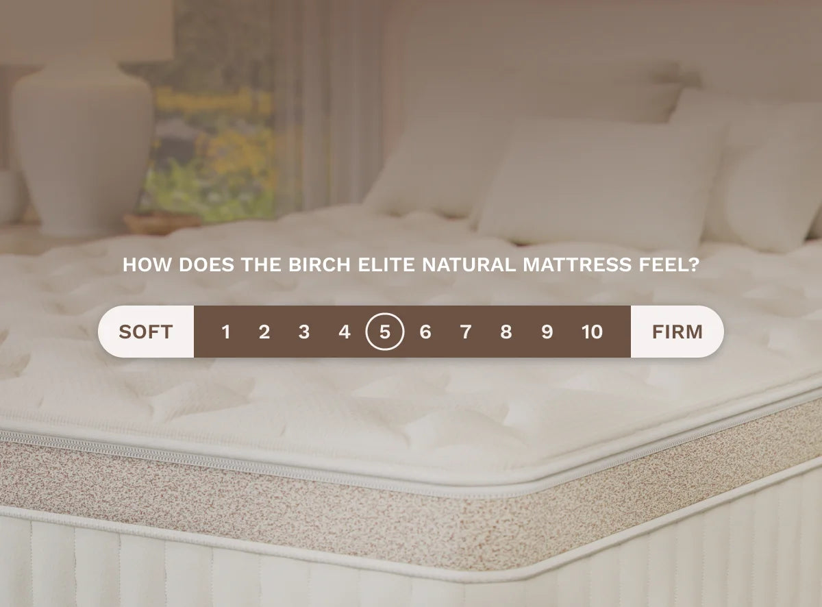 Birch Elite natural mattress with a comfort level scale on a blurred bedroom background