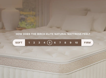 Birch Elite natural mattress with a comfort level scale on a blurred bedroom background