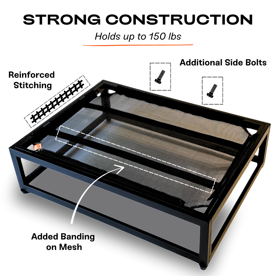 black raised dog bed that's easily washable and durable