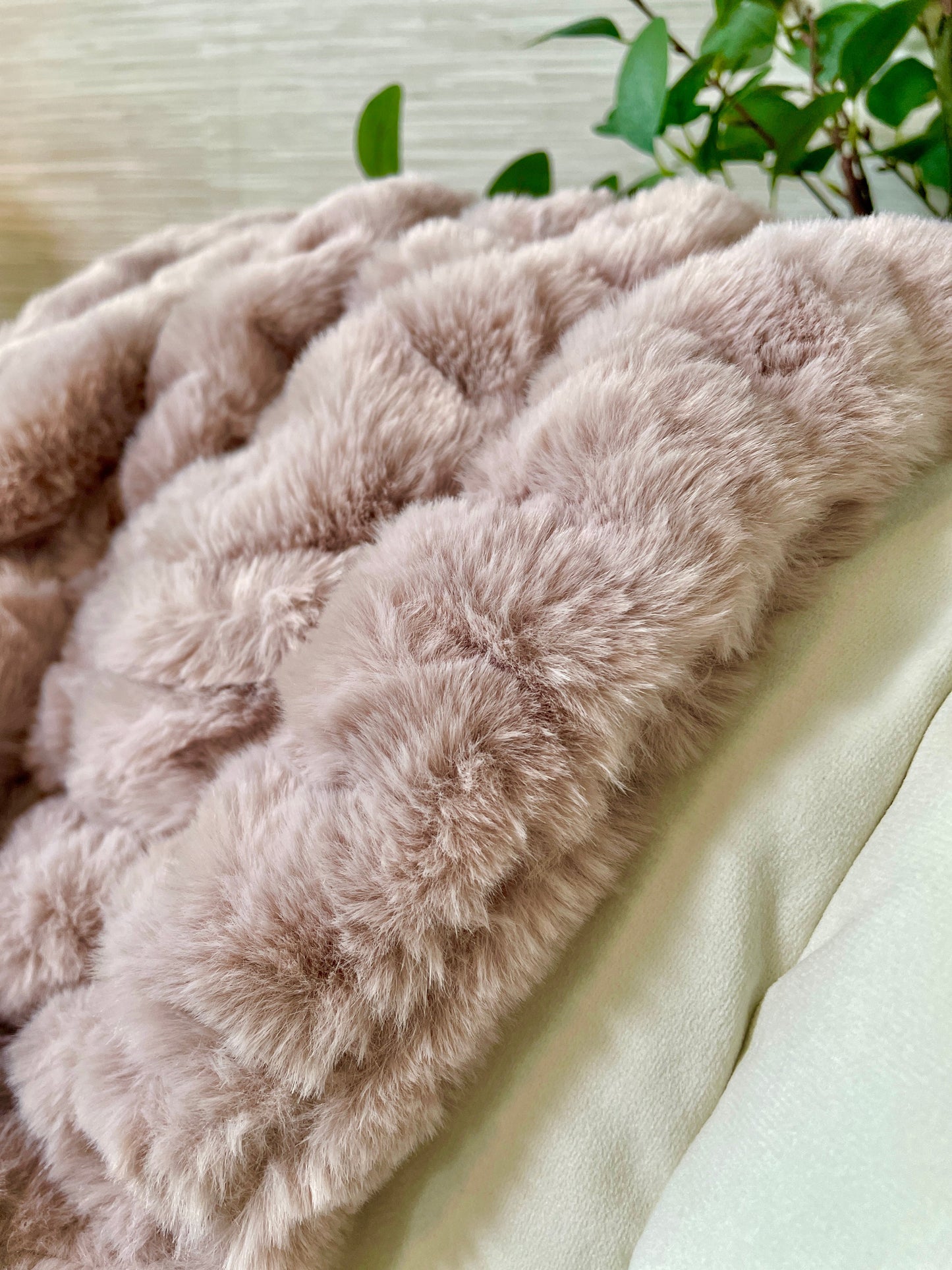 Close-up of a fluffy blush blanket with a blurred green plant in the background
