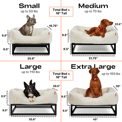 Dog bed size chart with dogs of different breeds on each size category