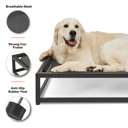 Dog lying on a raised pet bed with features highlighted on a white background
