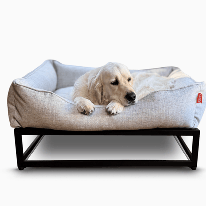 Dog lying on a pet bed with a white background