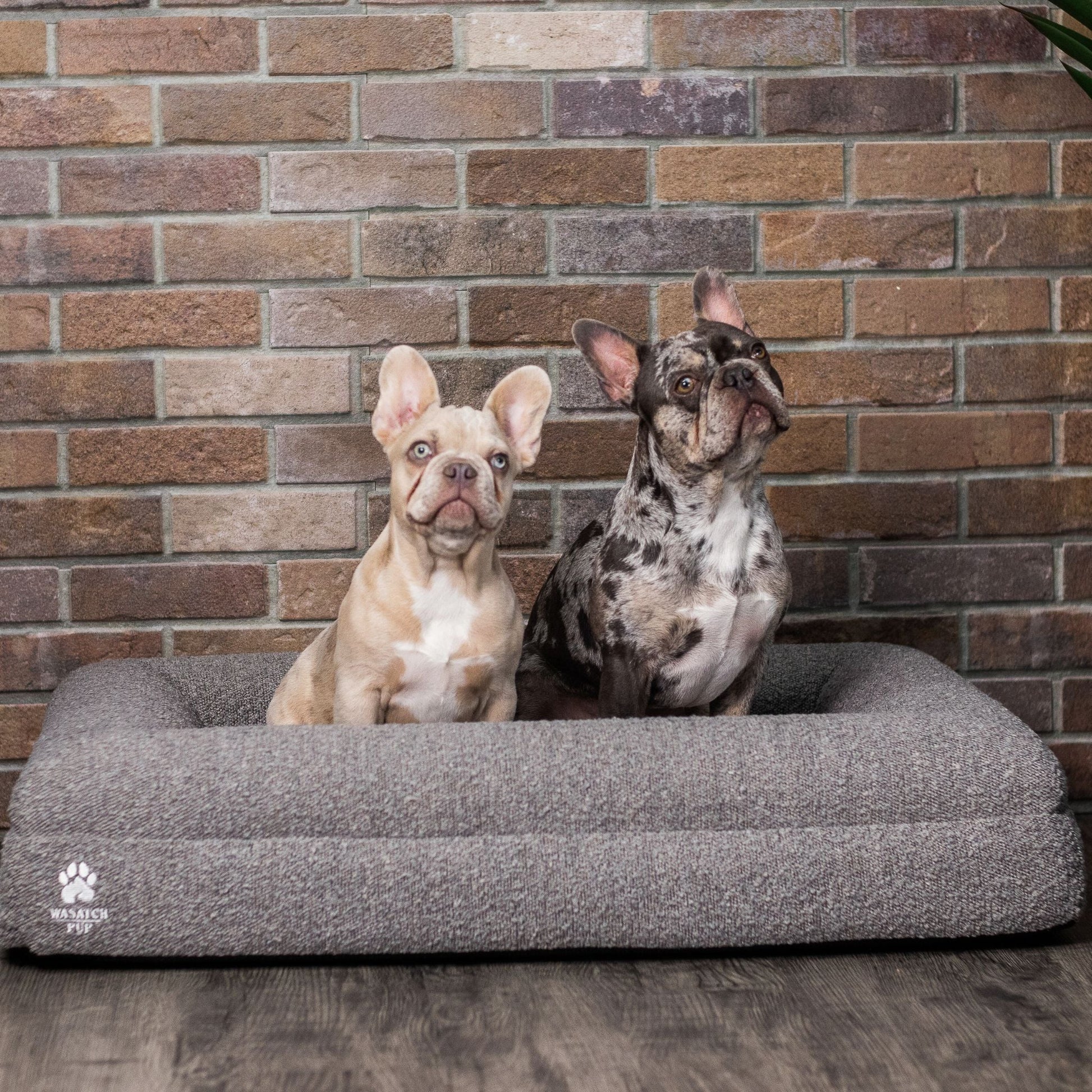 Two dogs sitting on a luxury gray pet bed against a brick wall.