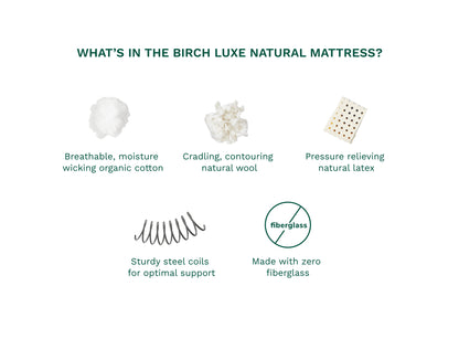 Birch Luxe Natural Mattress components on a white background