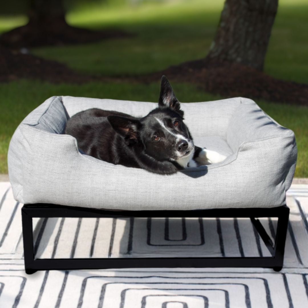 Dog lying on a gray pet bed outdoors with grass and a tree in the background.