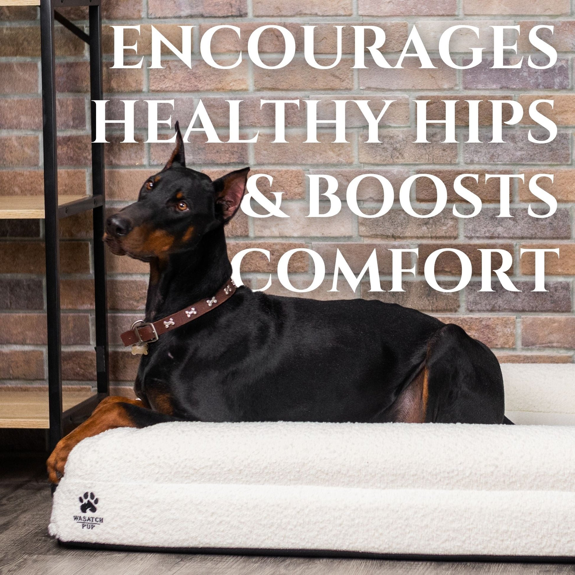 Dog lying on a white pet bed with text about healthy hips and comfort.