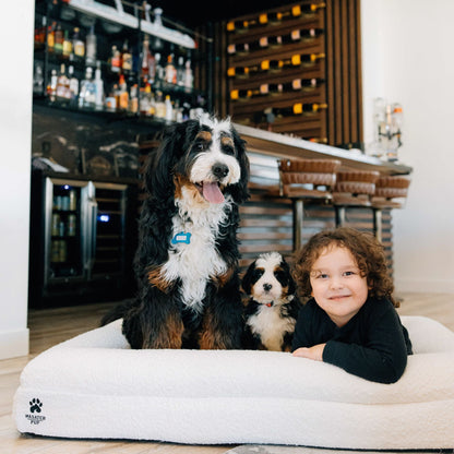 Child and two dogs on a large white pet bed in a modern interior setting.