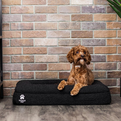 dog laying on a luxury dog bed