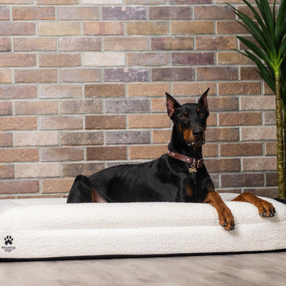 Doberman pinscher lying on a white dog bed against a brick wall.