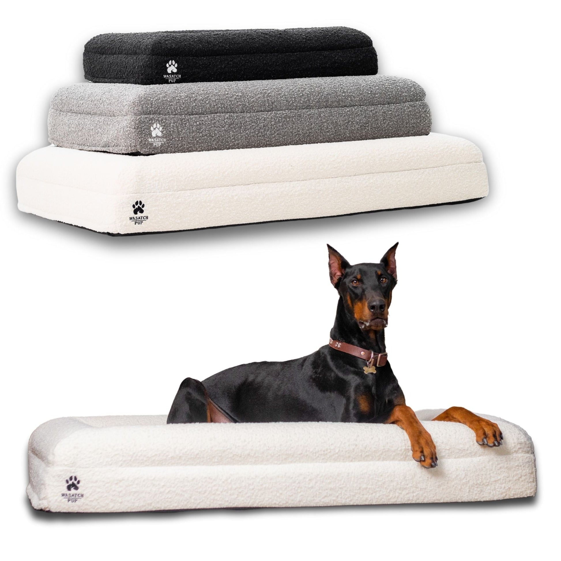 Dog lying on a large dog bed with three other dog beds stacked above it on a white background.