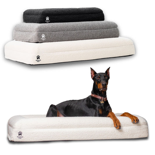 Dog lying on a large dog bed with three other dog beds stacked above it on a white background.