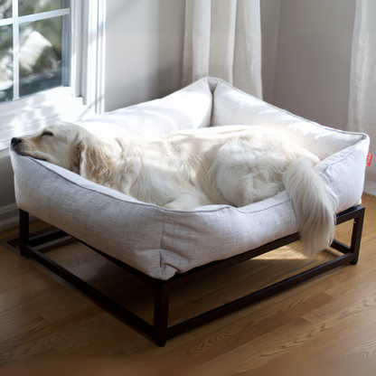 Dog resting on a large pet bed in a room with a window and curtains.