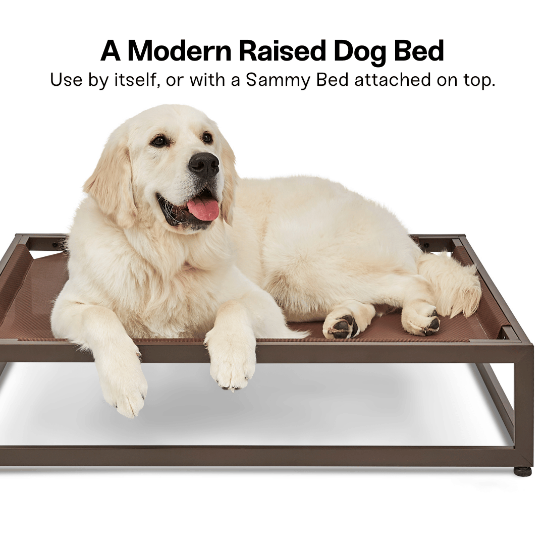 Dog lying on a modern raised dog bed with text about using it alone or with a Sammy Bed.