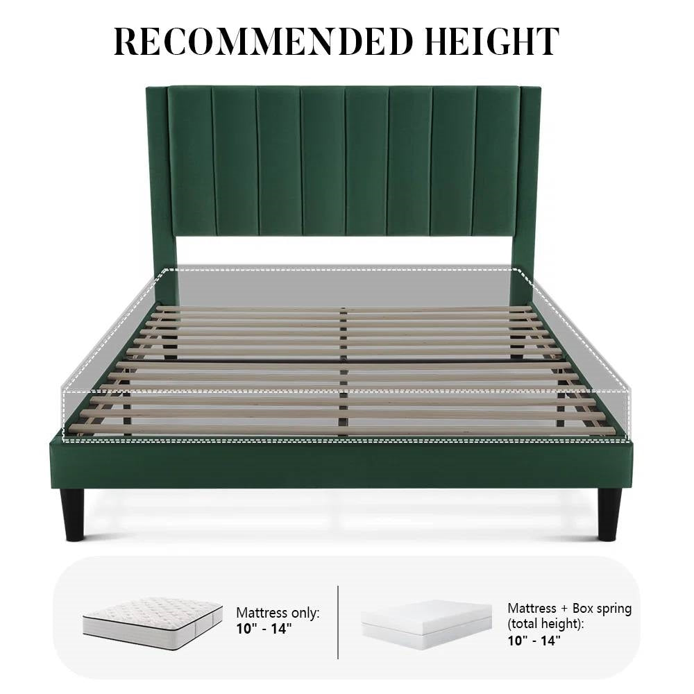Green queen size bed frame with mattress showing recommended height on a white background