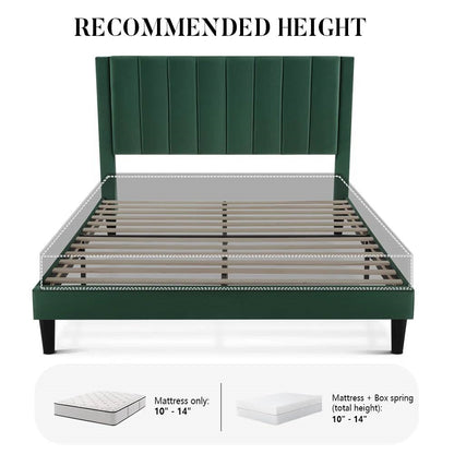 Green queen size bed frame with mattress showing recommended height on a white background